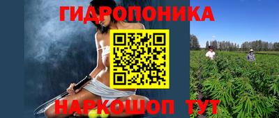амф Чебоксары