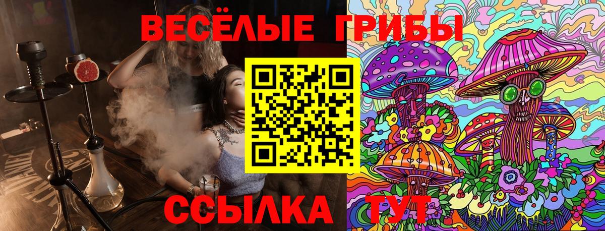 Псилоцибиновые грибы MAGIC MUSHROOMS Шали