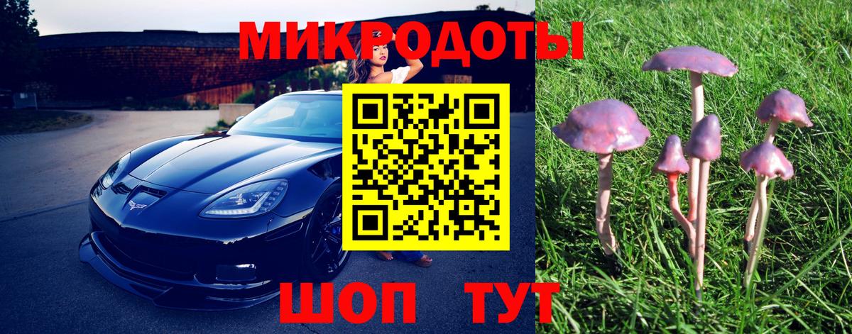 Шали  Галлюциногенные грибы прущие грибы  Вход с VPN 